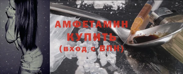эйфоретик Гусь-Хрустальный