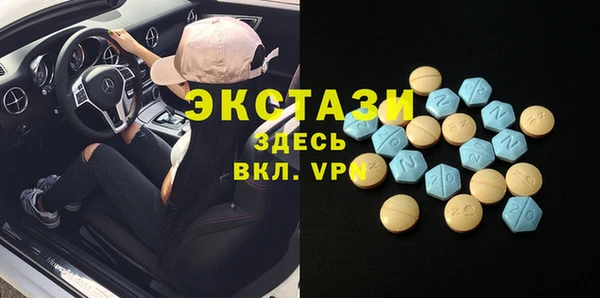 индика Гусев