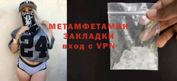 индика Гусев