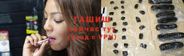 эйфоретик Гусь-Хрустальный