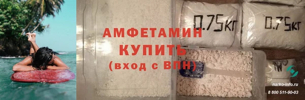 индика Гусев