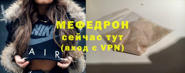 индика Гусев