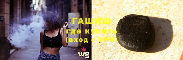индика Гусев