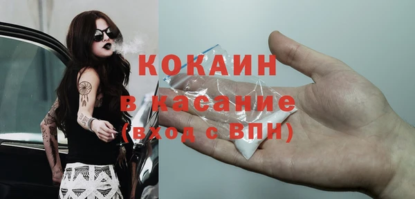индика Гусев
