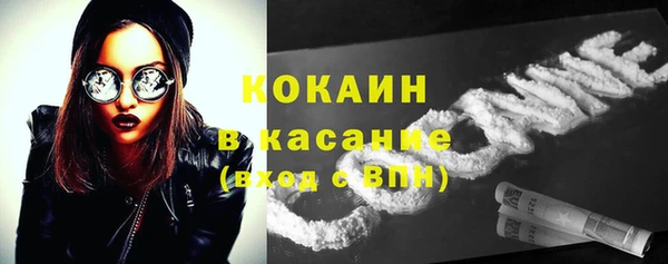 индика Гусев