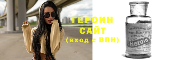 индика Гусев