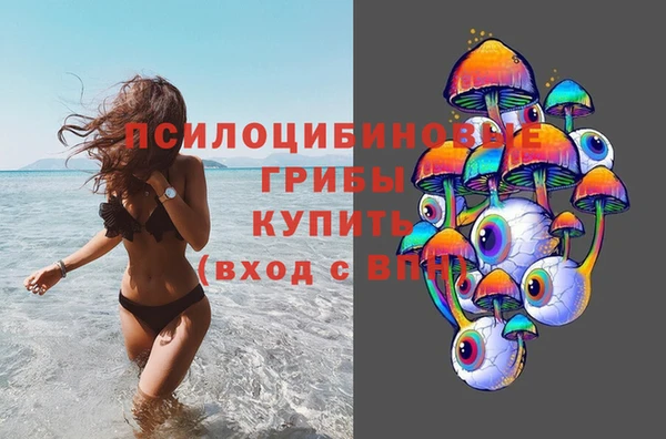 эйфоретик Гусь-Хрустальный