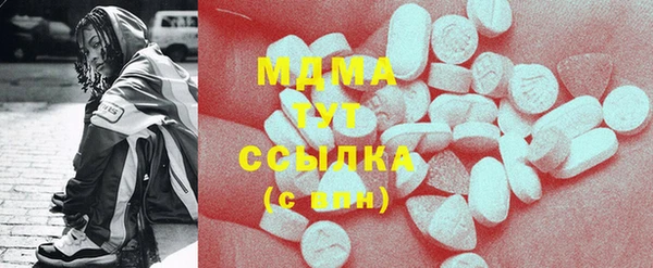 индика Гусев