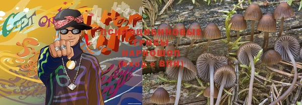 индика Гусев