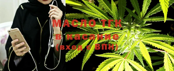 индика Гусев