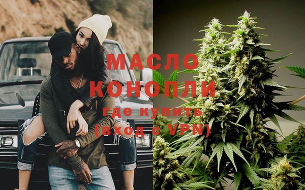 индика Гусев