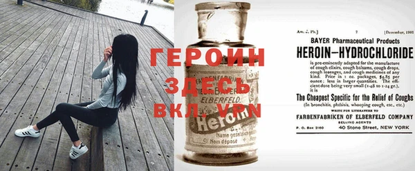 индика Гусев