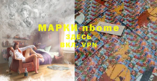эйфоретик Гусь-Хрустальный