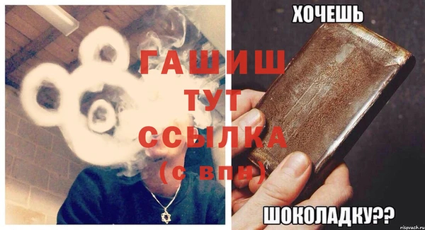 индика Гусев