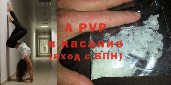 индика Гусев