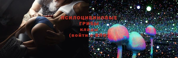 индика Гусев