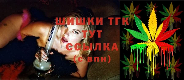 эйфоретик Гусь-Хрустальный