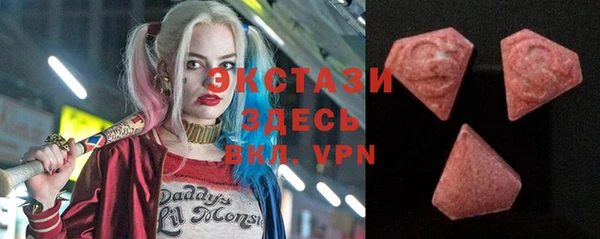 эйфоретик Гусь-Хрустальный