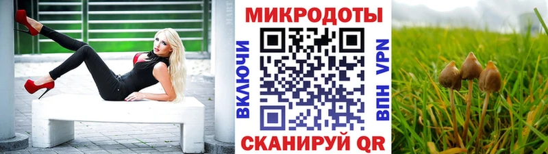 Псилоцибиновые грибы Magic Shrooms  Купить где  Анапа 